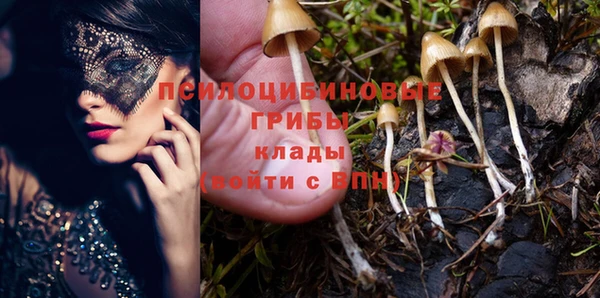 первитин Алексин